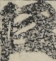 江戸