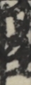 江戸