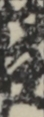 江戸