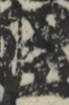 江戸