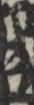 江戸