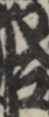 江戸