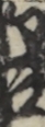江戸