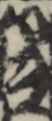 江戸