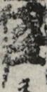 江戸