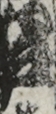 江戸