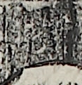 江戸