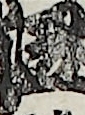 江戸