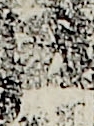 江戸