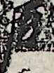 江戸