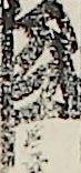 江戸