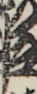 江戸