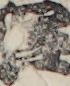 江戸