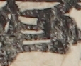 江戸