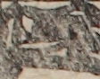 江戸