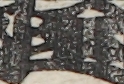 江戸