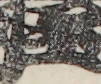 江戸