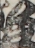 江戸