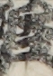 江戸