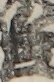 江戸
