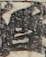 江戸
