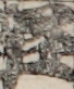 江戸