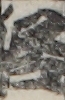 江戸