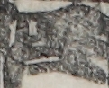 江戸