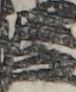 江戸