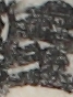 江戸