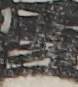 江戸