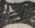 江戸