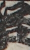 江戸