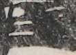 江戸