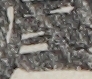 江戸