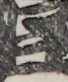 江戸