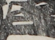江戸