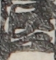 江戸