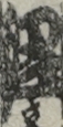 江戸