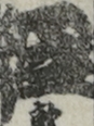江戸