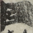 江戸