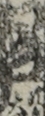 江戸