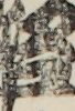 江戸