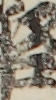 江戸