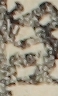 江戸