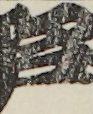 江戸