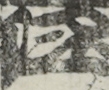 江戸