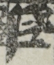江戸