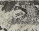 江戸
