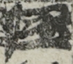 江戸